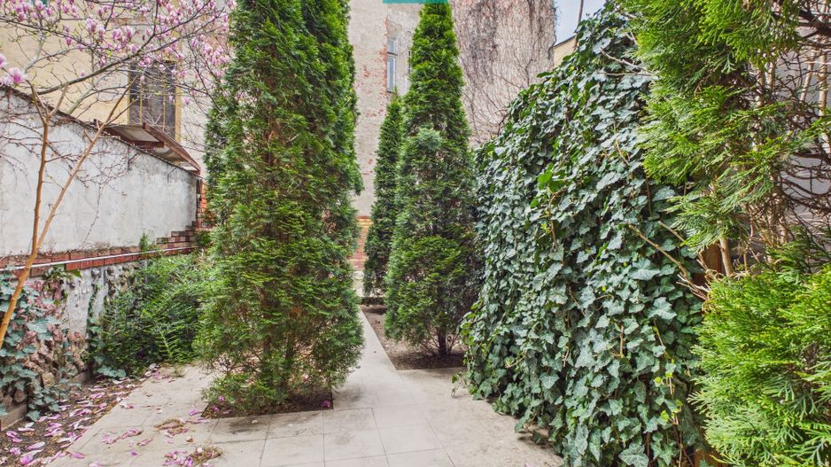 Apartament spațios în clădire ultracentrală - Poză 12