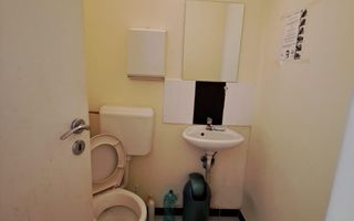 Proprietate 450 mp pe Calea Clujului cu teren de 787mp in Oradea - Poză 20