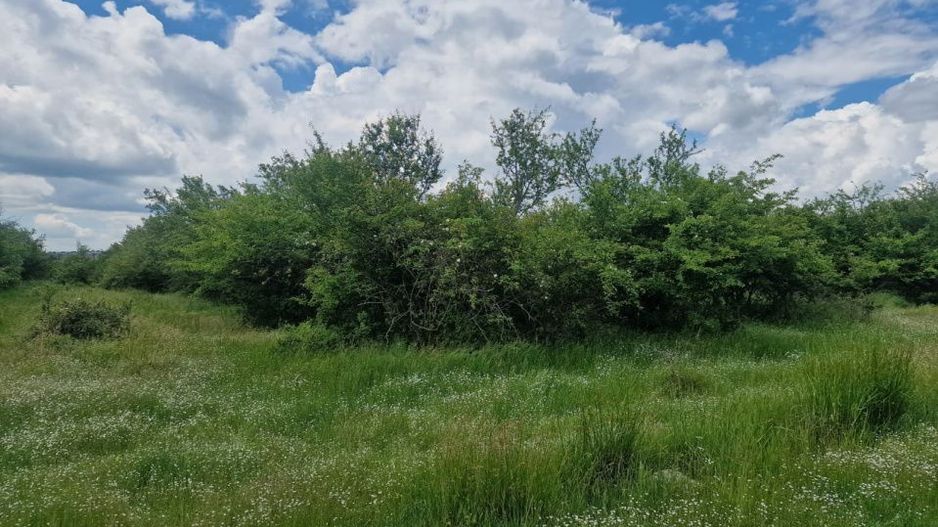 0% Comision!!! Teren intravilan Smeura - str Prunilor! - Poză 8