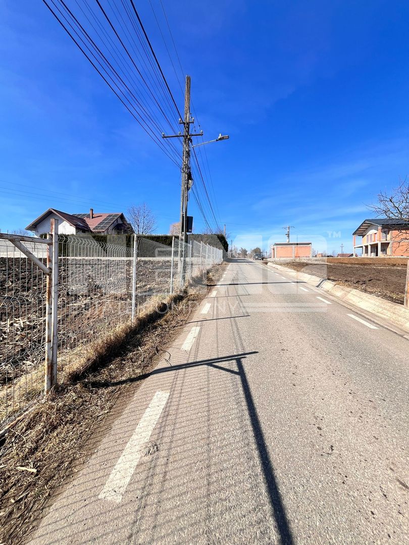 Vanzare I TerenIntravilan I Moara Nica/Suceava I 12.300 Mp I 64Euro/Mp - Poză 3