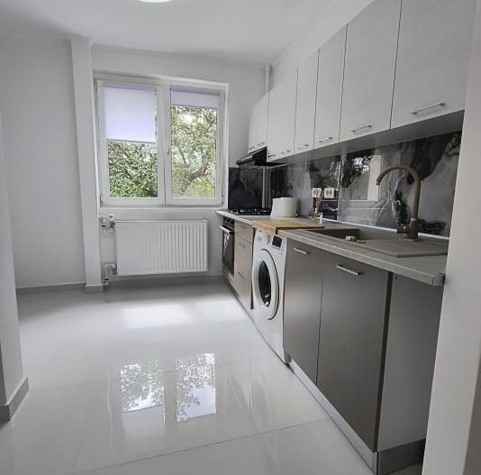 Ion Mihalache- Pta Chibrit- Calea Grivitei - Poză 12