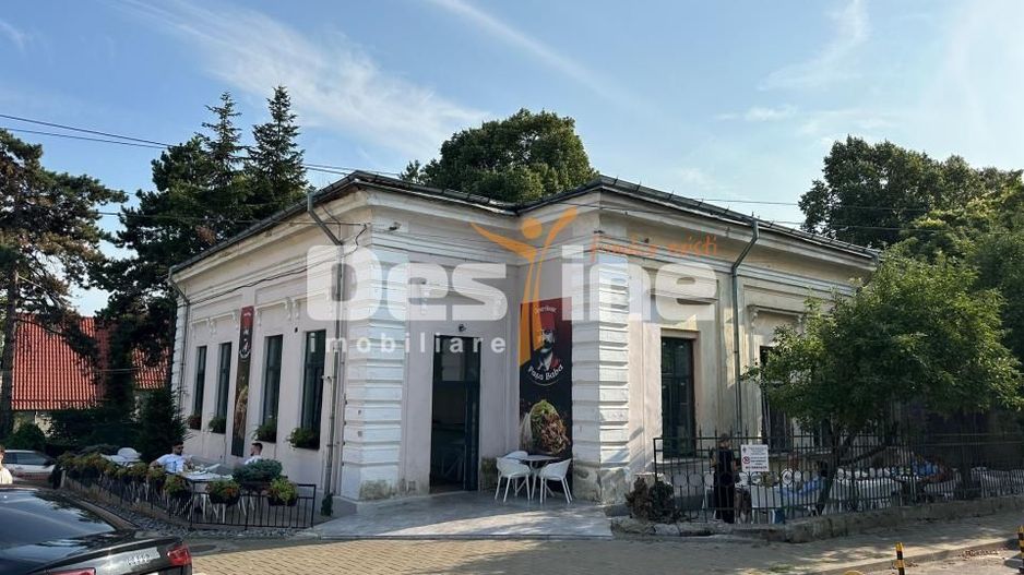 COPOU - Imobil Business/ activ Imobiliar - Poză 1