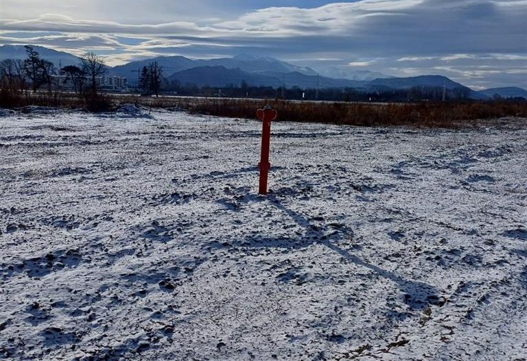 Loturi de 500 pana la 700mp, gata sa primeasca culoare si forma - Poză 5