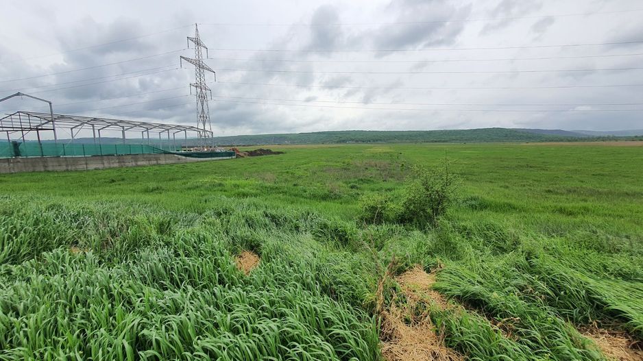 Teren 5000 mp, cu acces la DN 15D, zona Ciusmeaua Moldovencei. - Poză 2