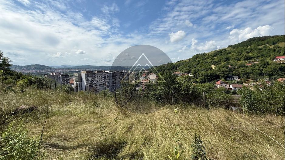 Teren Wewern, Medias - Poză 2