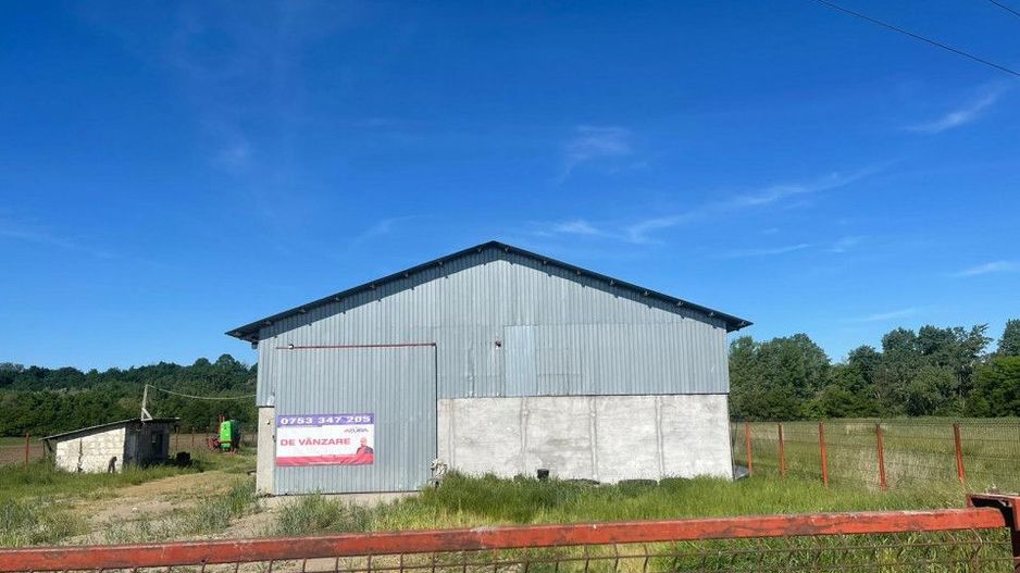 Hala de vanzare Costesti - Poză 12