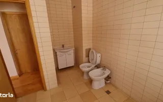 Chirie sau Vânzare - Vila Mare 3 Apartamente + Buncăr – Privat Afacere - Poză 14
