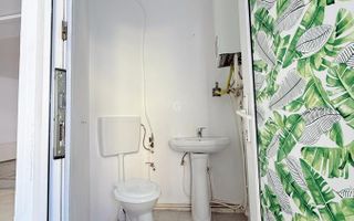 Spațiu Comercial | 195MPU | Acces TIR | Central - Poză 13