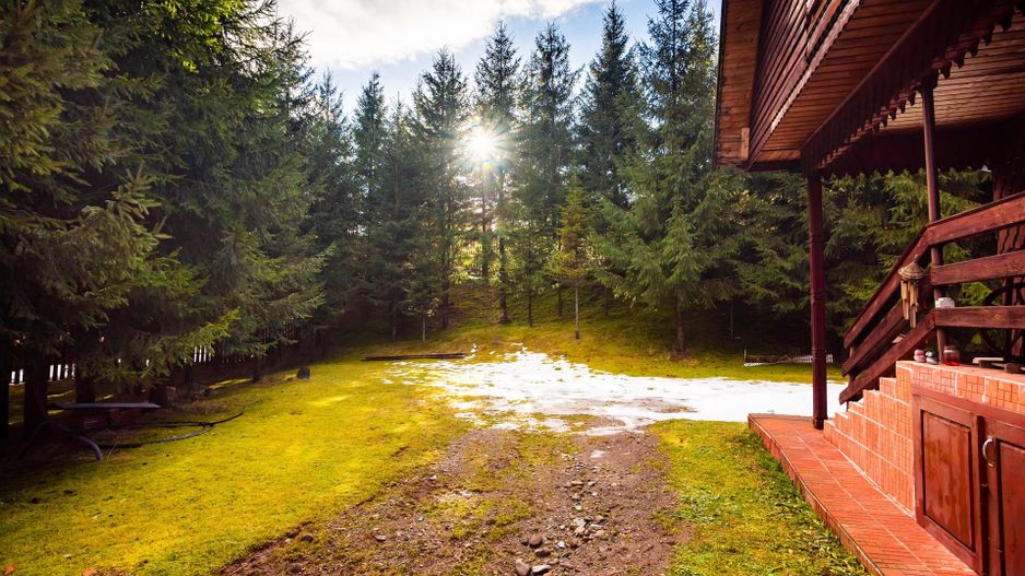 Cabane cu 10 camere Arieseni - Poză 19