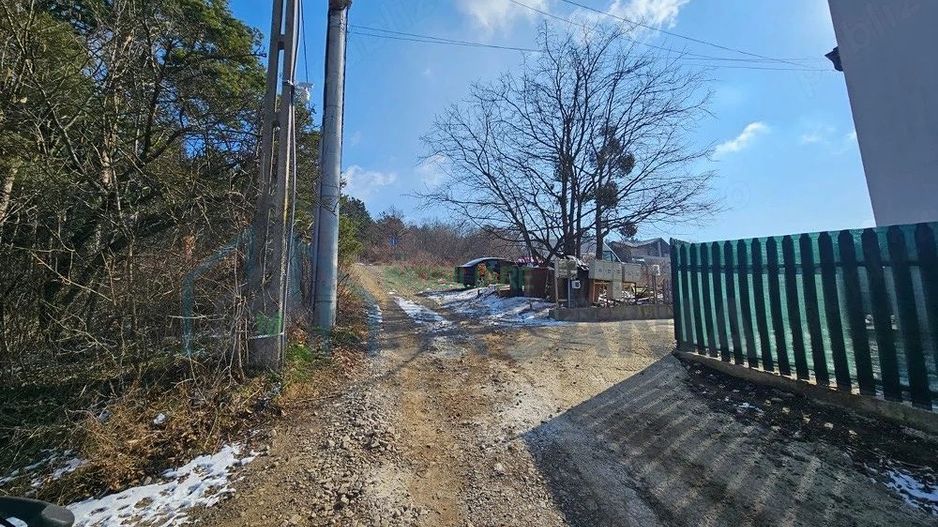 Teren intravilan de 3000 mp în Bucium, Iași, cu deschidere de 40 m și panoramă deosebită, lângă pădurea de pini - Poză 2