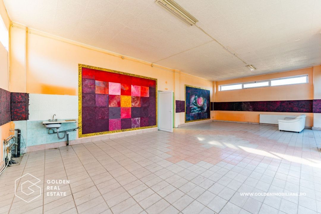 Hala pentu productie In zona Micalaca - Poză 27