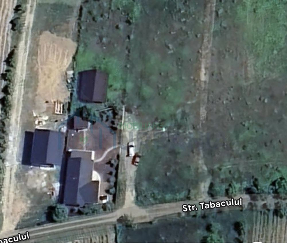 Teren Tomesti Intravilan - Poză 2