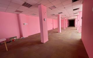 Spatiu comercial, UltraCentral, Bvd Eroilor, Teatru. - Poză 3