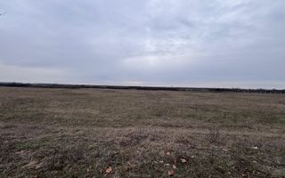 COMISION 0% Teren extravilan 1 ha | Recas - Poză 2