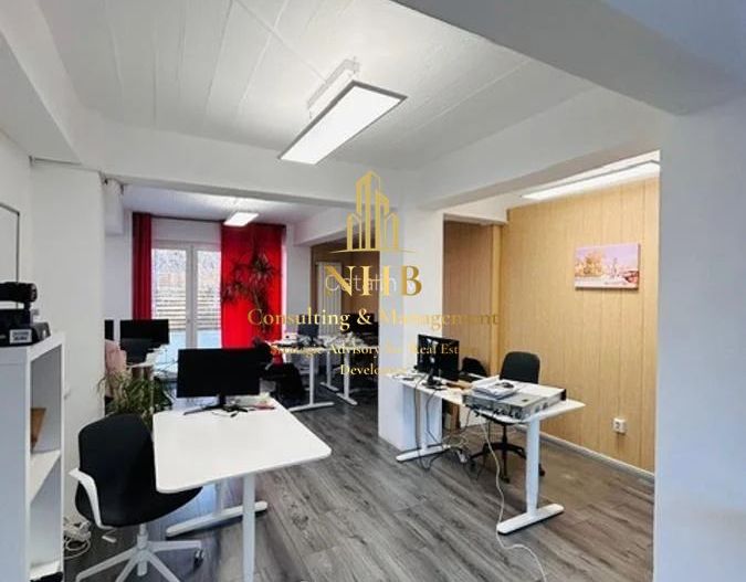 Casa/Vila 5 camere | Tei | Spatiu birouri - Poză 7