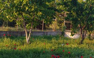 Casa individuala Valu lu Traian - teren mare 1000 mp - Poză 7