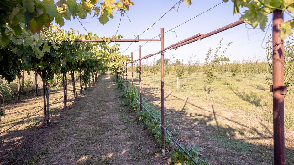 Casă de vânzare Furceni – 7 camere, teren 8.000 m - Poză 27