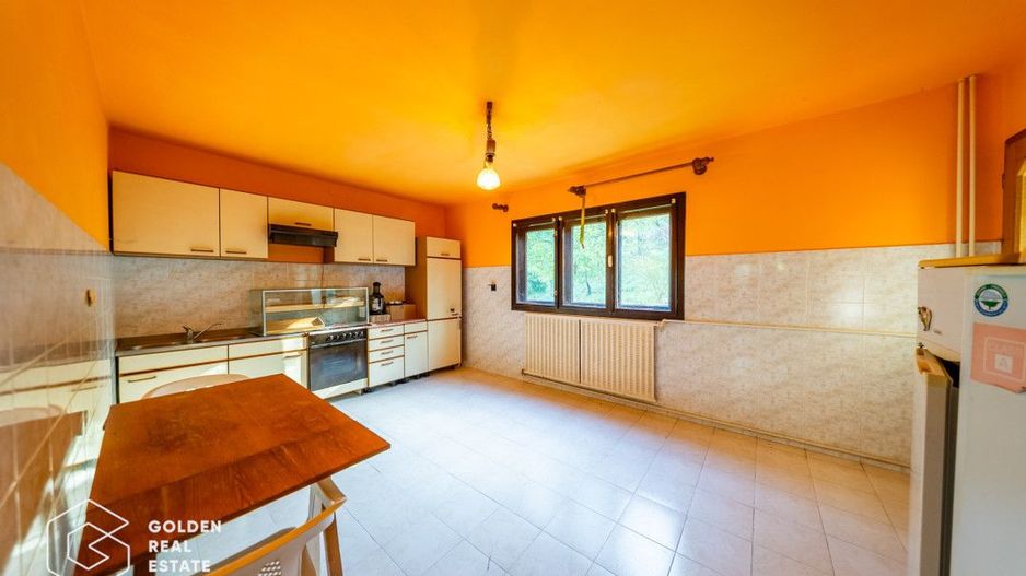 Casa de vacanta, localitatea Cladova, ideal pozitionata - Poză 20