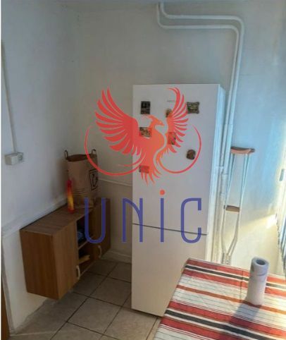 Garsoniera la parter - Lapus - Poză 14