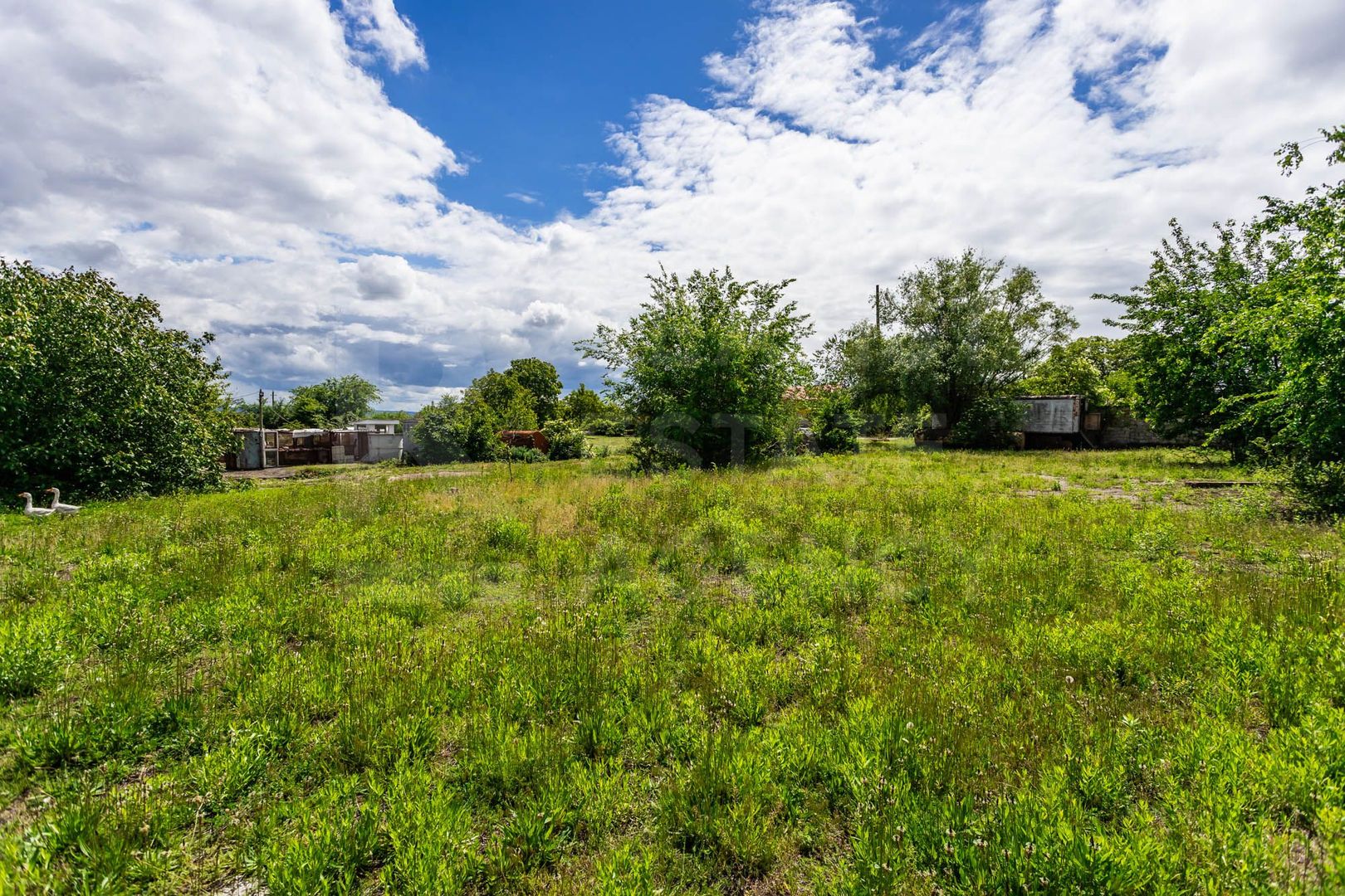 Vânzare,teren pentru construcție,1,18 ha, satul Maximovca, Anenii Noi - Poză 12