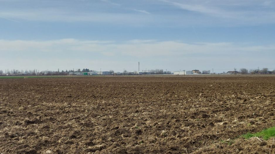Teren 5,000mp Moara Vlasiei / Strada Morii - Poză 2