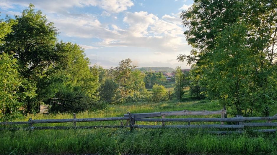 Teren Intravilan Ilisesti/Suceava - Poză 8