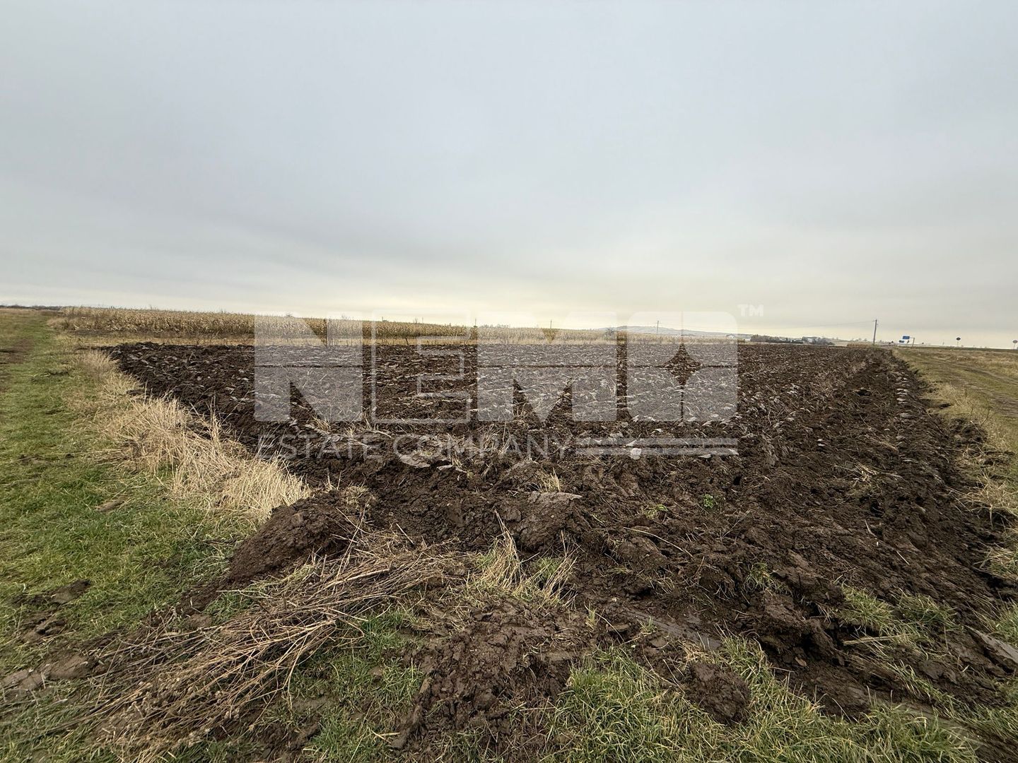 Parcela teren agricol 50 Ari - Poză 9