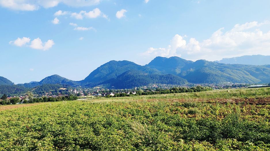 teren intravilan in Sacele-Baciu - Poză 3