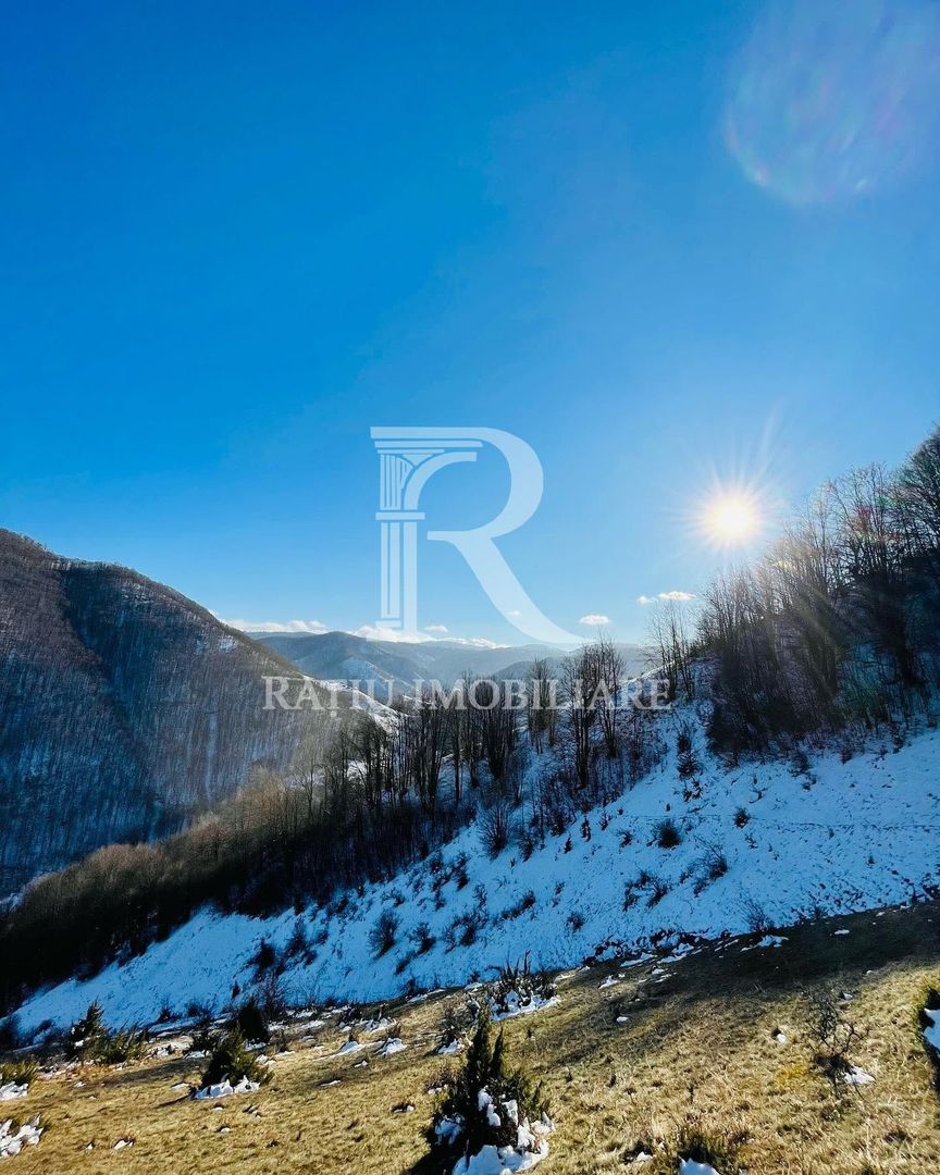 PENSIUNE DE ÎNCHIRIAT | REMEȚI | BIHOR | CIUBĂR & SAUNĂ - Poză 6