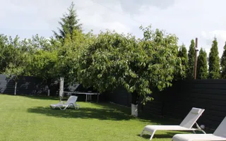Casa de vanzare | Zona Dedeman - Poză 14