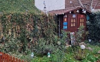 Vila individuala | Parcul Circului - Poză 9