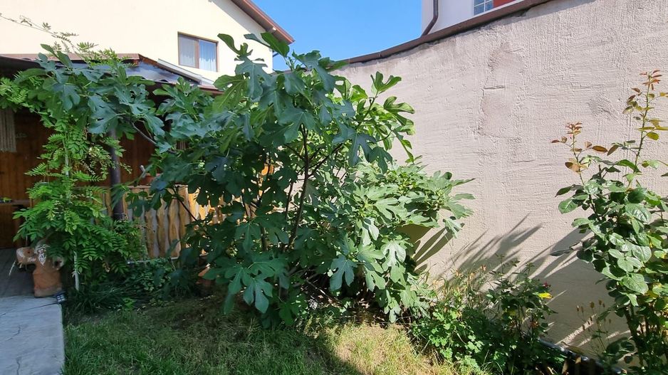 Casă individuală 4 camere - Poză 20