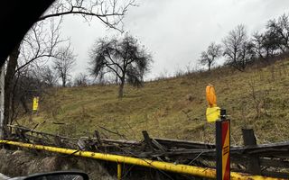 Teren intravilan 3214 mp  în Rucăr cu deschidere 56 m în DN73 - Poză 7