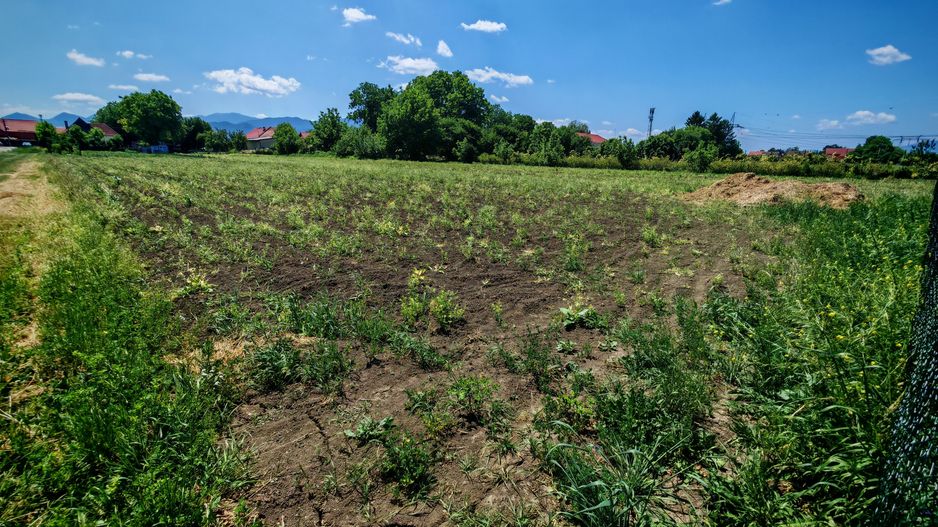 Teren intravilan in Stupini aproape de Centrul Cartierului 856 mp - Poză 4