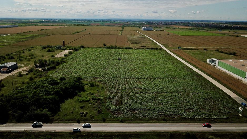 Parcele teren industrial cu PUZ - 2.700 mp, Giarmata - Poză 1