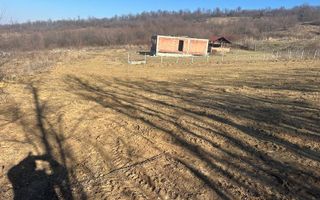 Teren interval Vladiceni - Poză 3