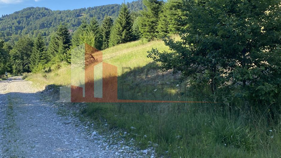 Teren 14400 mp la iesire din Rasnov inspre Pârâul Rece-Trei Brazi - Poză 7