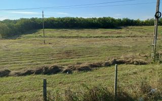 Teren intravilan 1 ha de vânzare în comuna Țigănași, la 22 km de Iași, zona Carniceni - Poză 3