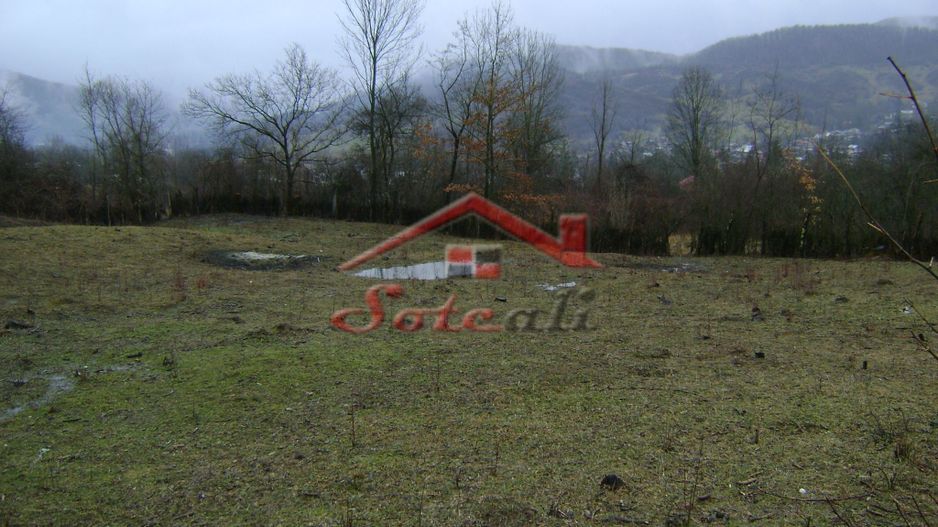 Teren de vanzare in Provita de jos - Poză 2