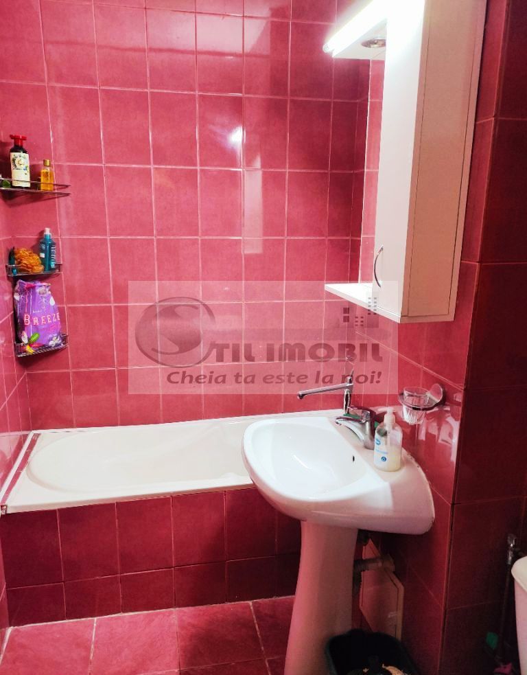 Apartament 2 camere- Zona P-ta Nicolina- 460 Euro - Poză 7