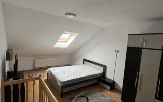 Apartament 2 camere | 40MPU | Pet Friendly | Terezian | Mansarda - Poză 7