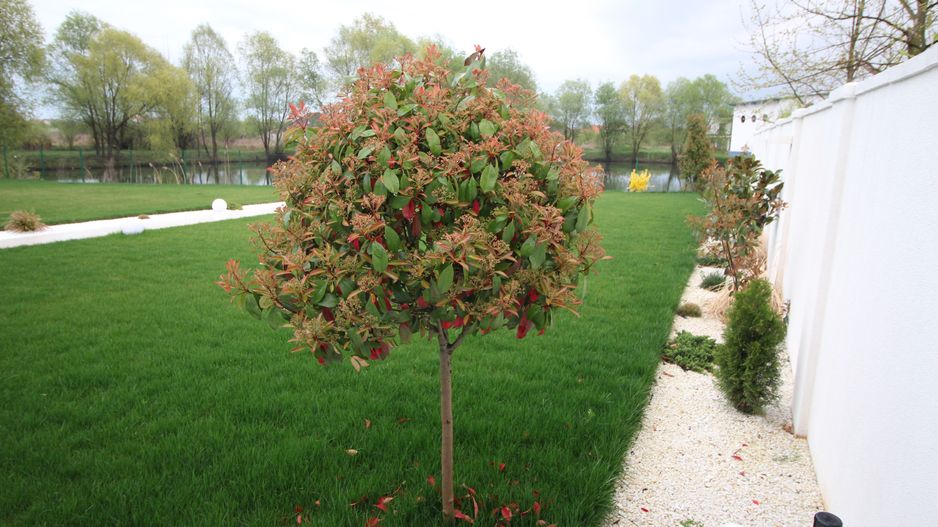 Casă / Vilă cu 8 camere de vânzare în zona Est - Poză 17