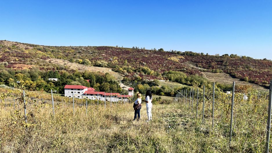 14Ha podgorie, livada pomi fructiferi, si conac 3000mp - Poză 12