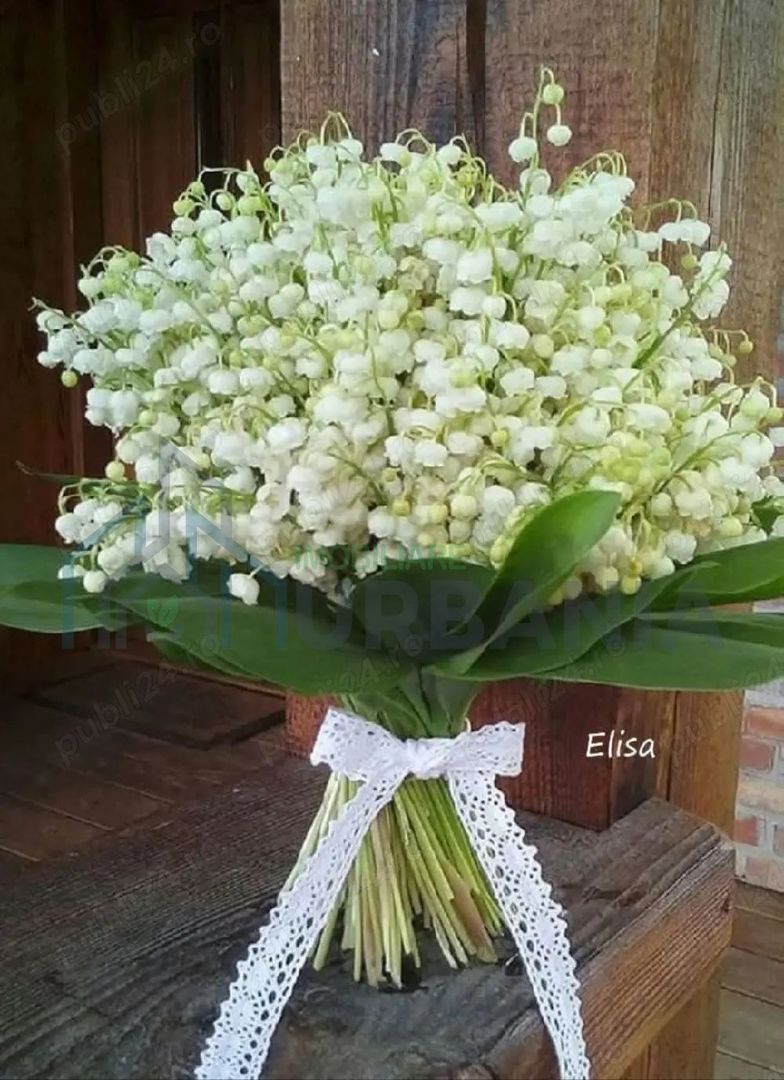 Persoană fizică ofer spre închiriere apartament cu două camere Podu Ros - Poză 1