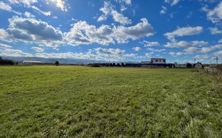 Teren industrial de vânzare în Cristian – 6.000 mp, deschidere la drum asfaltat - Poză 7