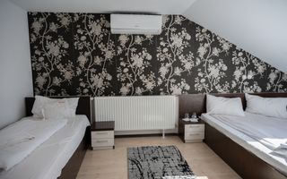 Afacere la Cheie în Turism | Pensiune  în Sânmartin - Poză 21