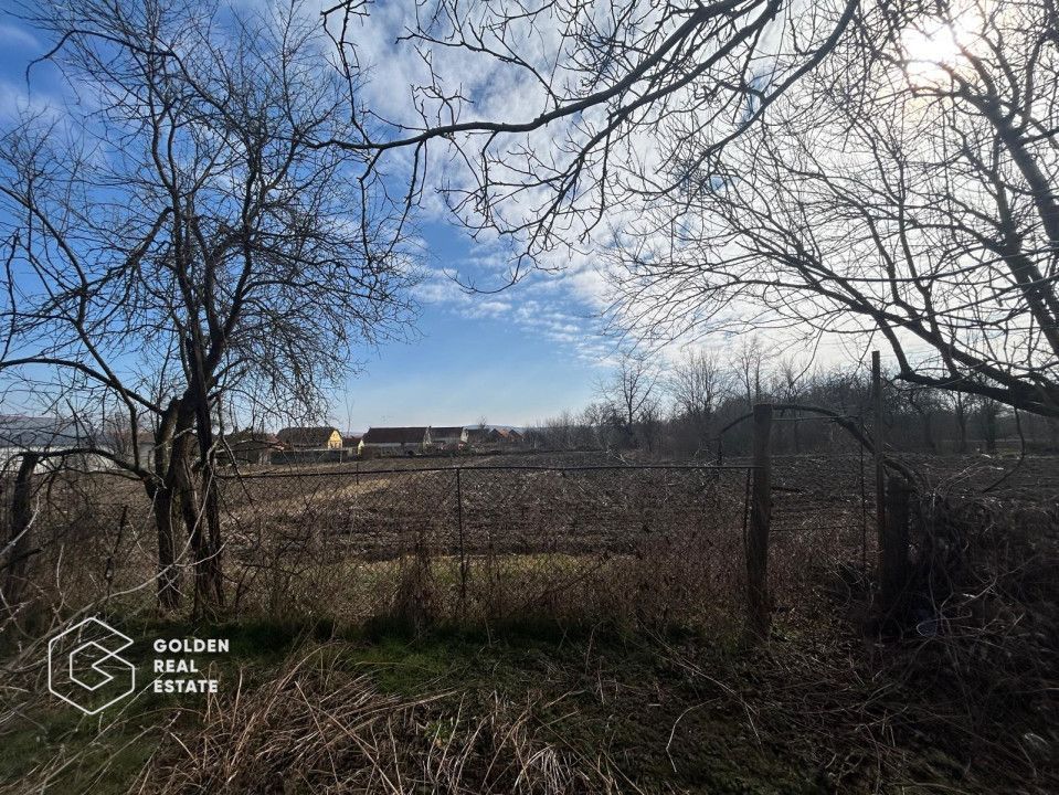 Casa traditionala cu teren generos in Odvos, județul Arad - Poză 18