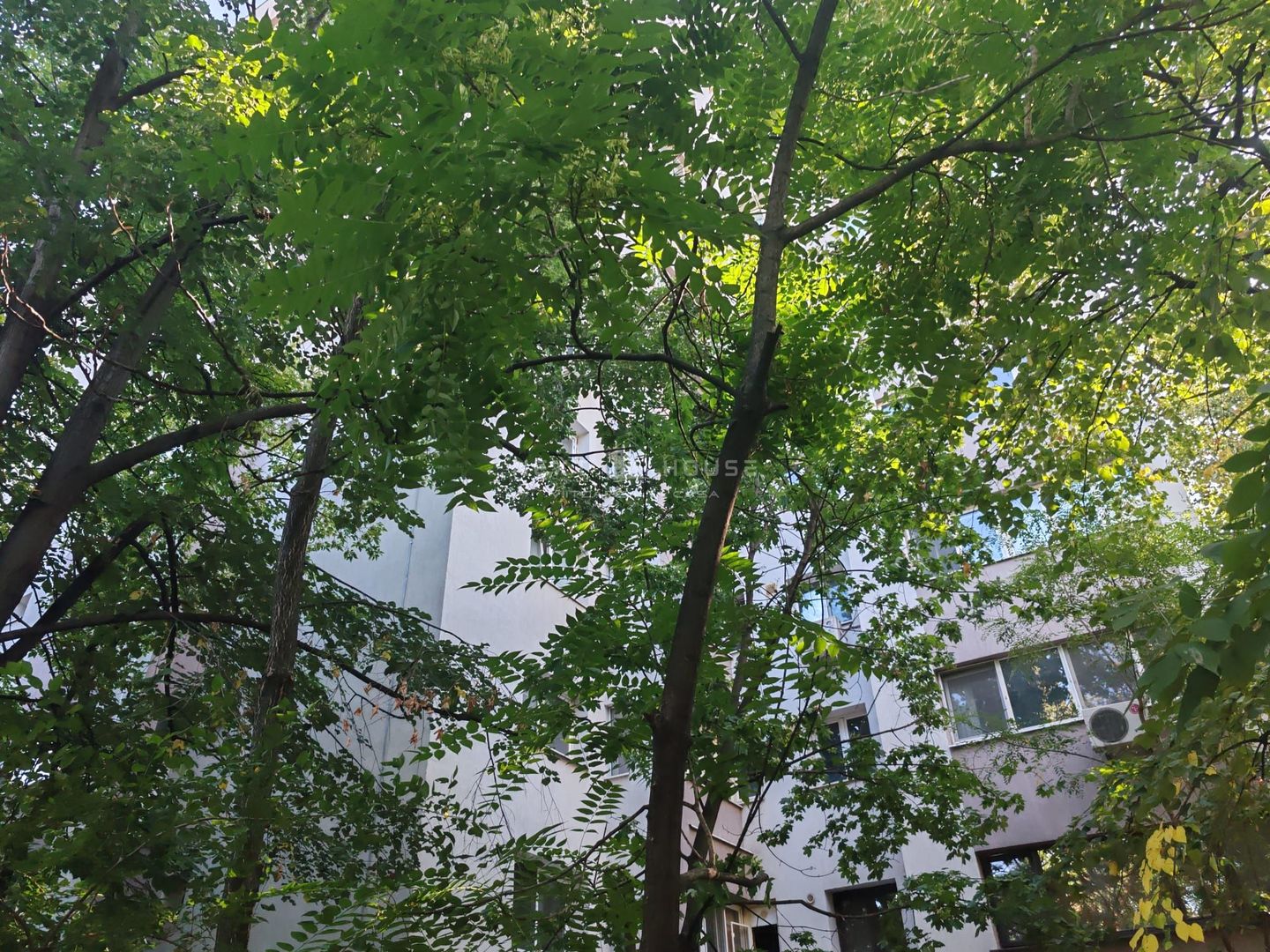 Apartament  Drumul Taberei - Favorit  ( Liceul Grigore Moisil ) - Poză 19