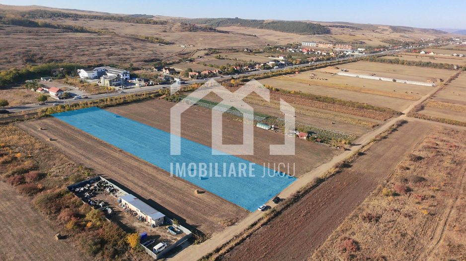 Teren Industrial | Hală • Service • Parcare TIR | 4.227 mp - Poză 3