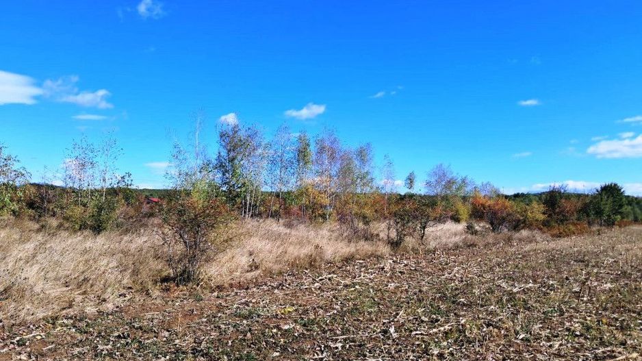 TEREN INTRAVILAN ȘI EXTRAVILAN BAIA DE FIER - Poză 3